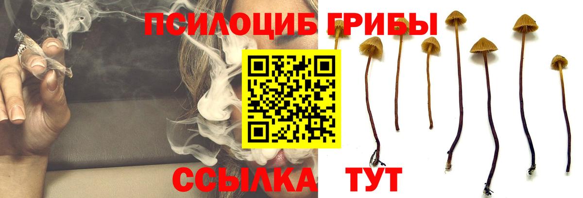 Галлюциногенные грибы мицелий  Вход с VPN  Кушва 